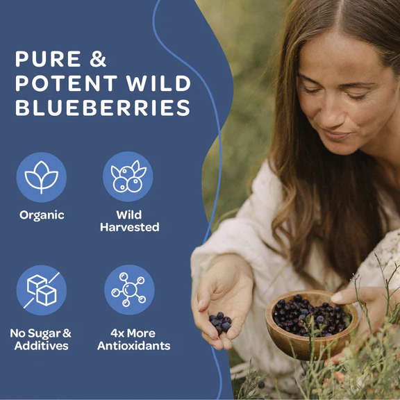 Blueberry Powder | Wild & Freeze Dried