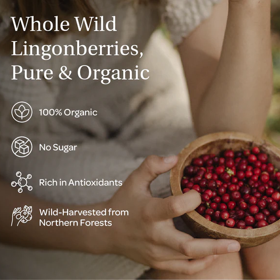Freeze Dried Lingonberries | Wild & Organic | Whole Berries