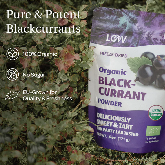 Blackcurrant Powder | Organic & Freeze-Dried
