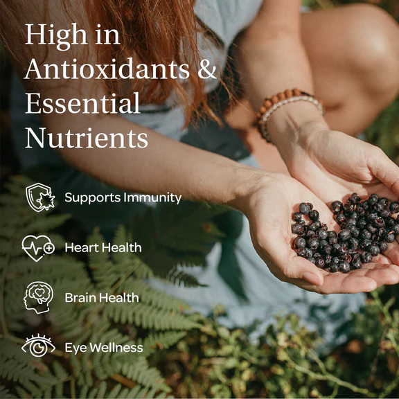 Whole Wild Berry Bundle
