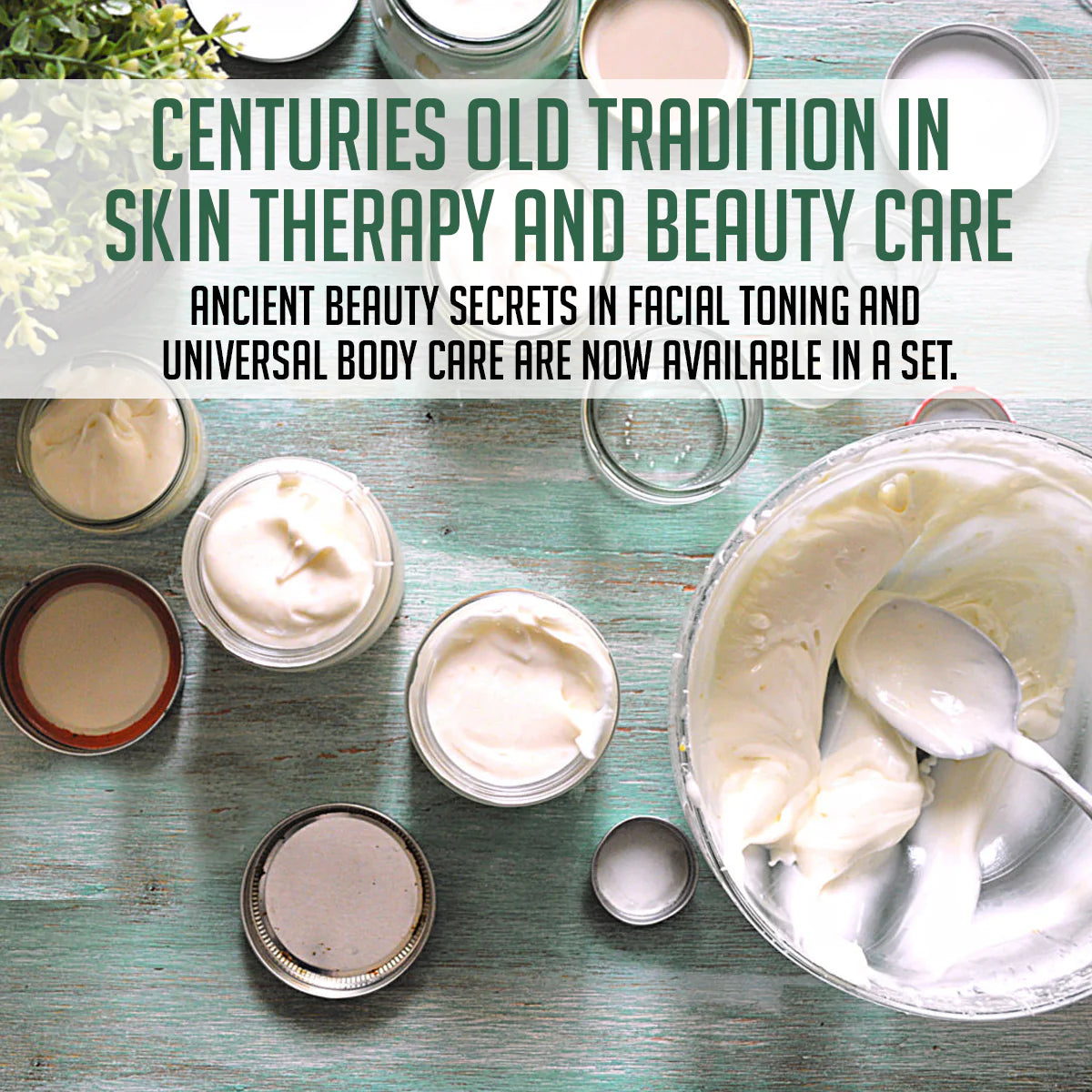 Vital Body Butter - 100% Natural Shea, Cocoa & Mango Blend