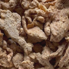 Oven Roasted Protein Strips (2 servings)