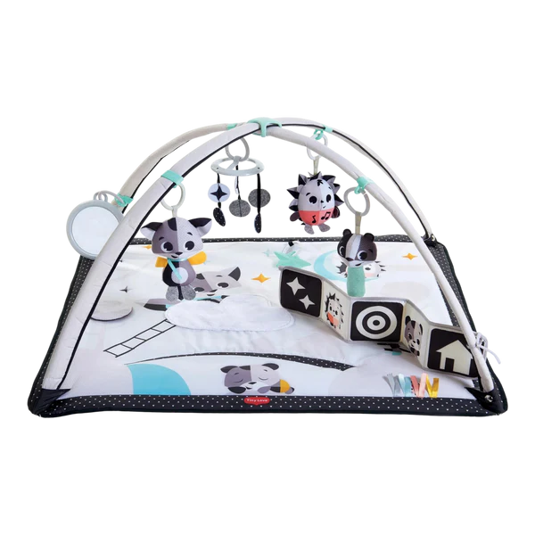 Premium Activity & Travel Gear – Certified Open-Box & Overstock Deals