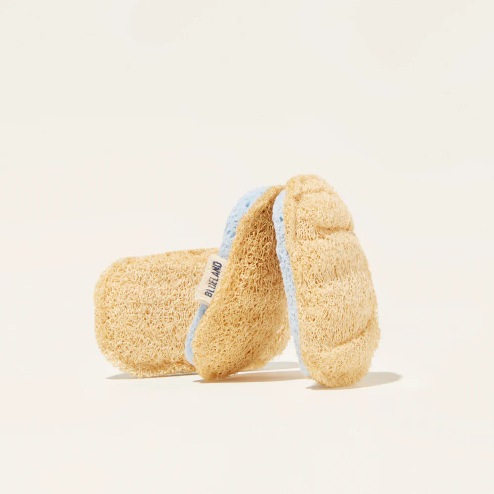 Cleaning Companions | Cloud Cloth | Pop-Up Sponge | Scrub Sponge