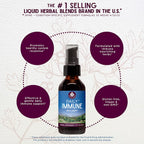 Daily Immune Builder