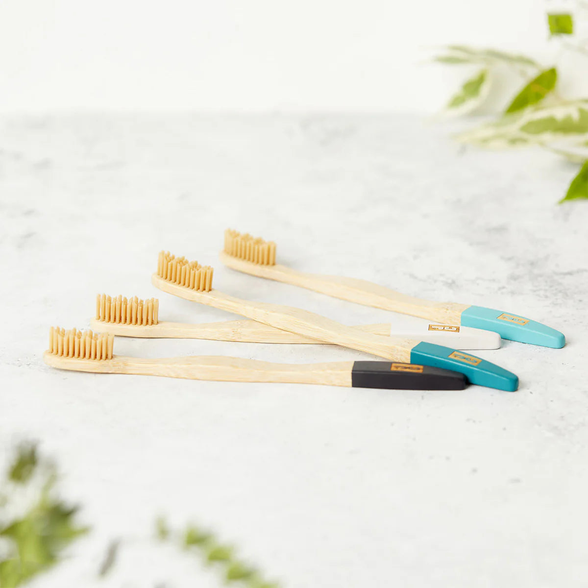 Natural Bamboo Toothbrushes