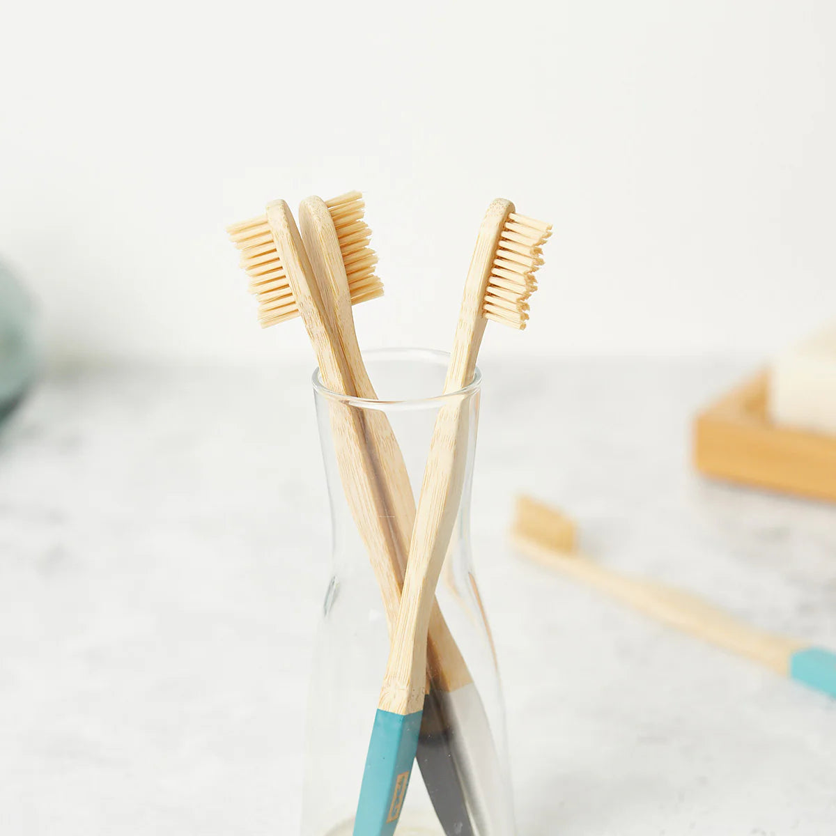 Natural Bamboo Toothbrushes