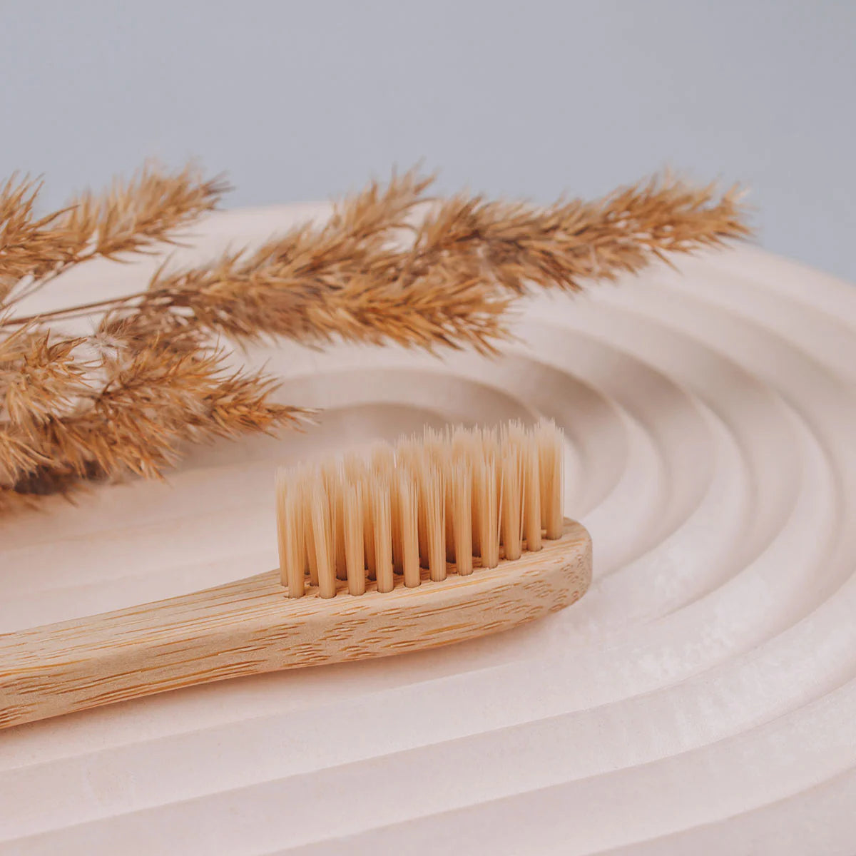 Natural Bamboo Toothbrushes