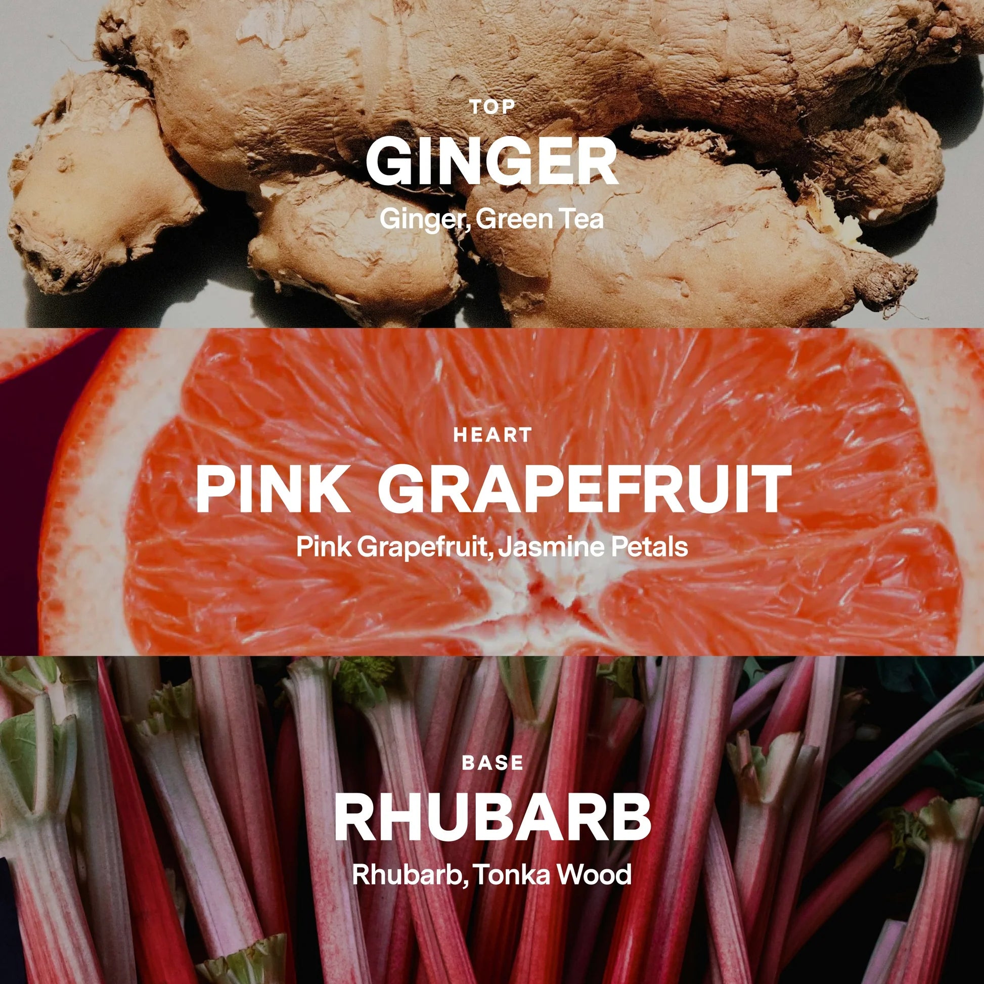 No 07 — Ginger, Pink Grapefruit, Rhubarb Candle