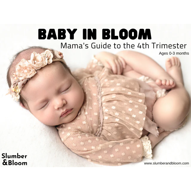 Baby In Bloom: Mama's Guide To The 4th Trimester