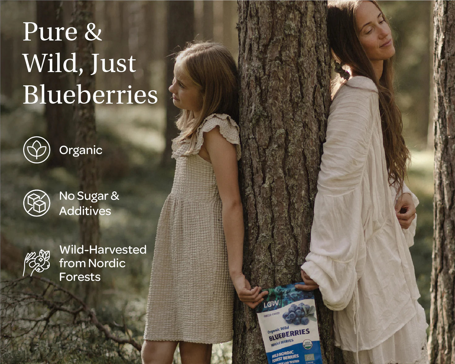 Organic Wild Whole Blueberries | Freeze-Dried