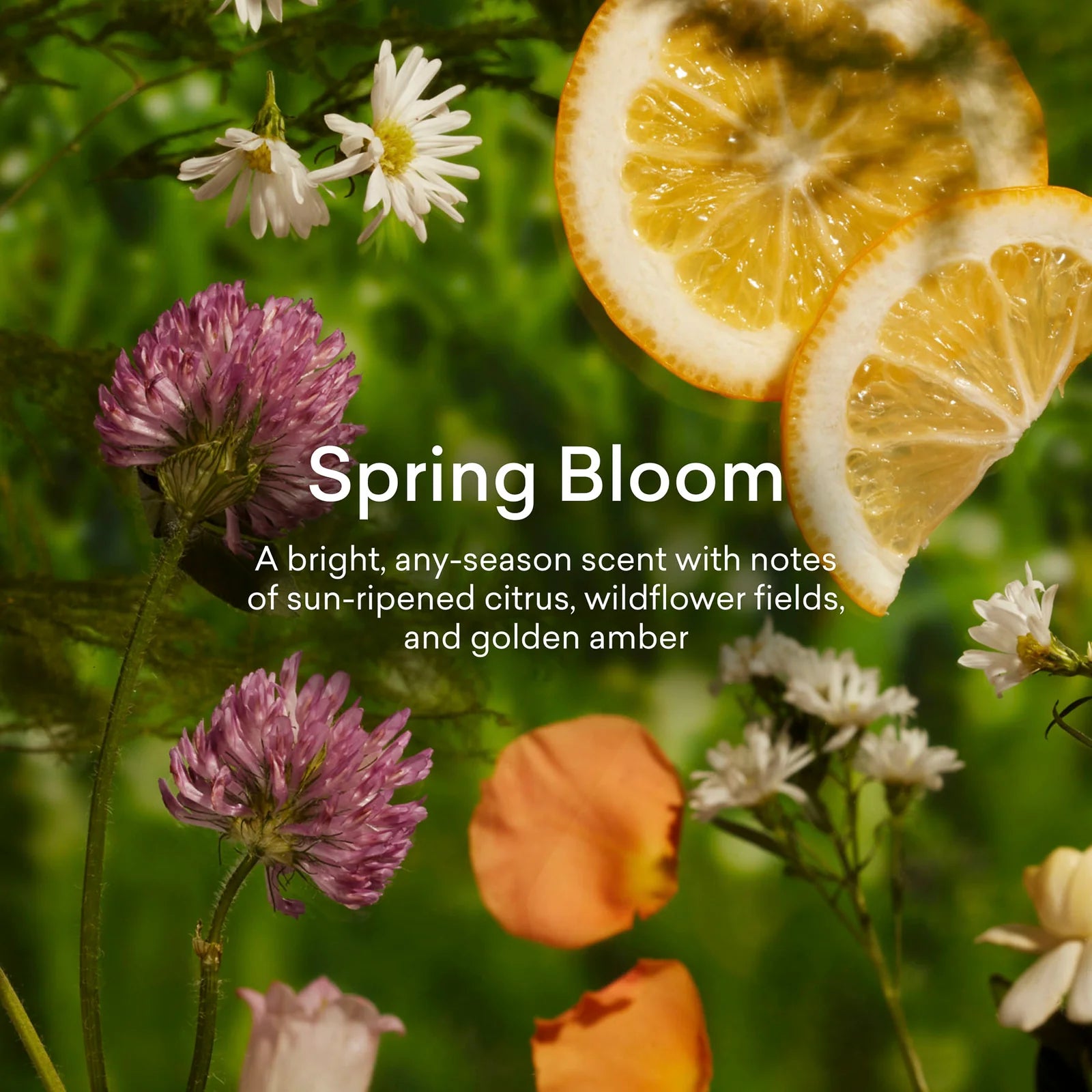 Laundry Detergent Starter Set