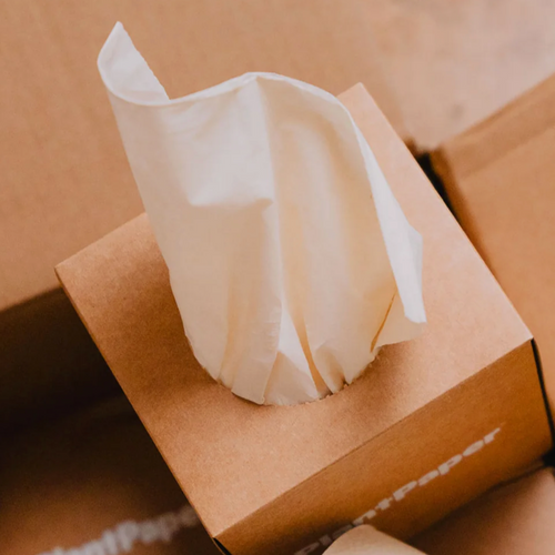 PlantPaper Facial Tissue (12 Boxes)