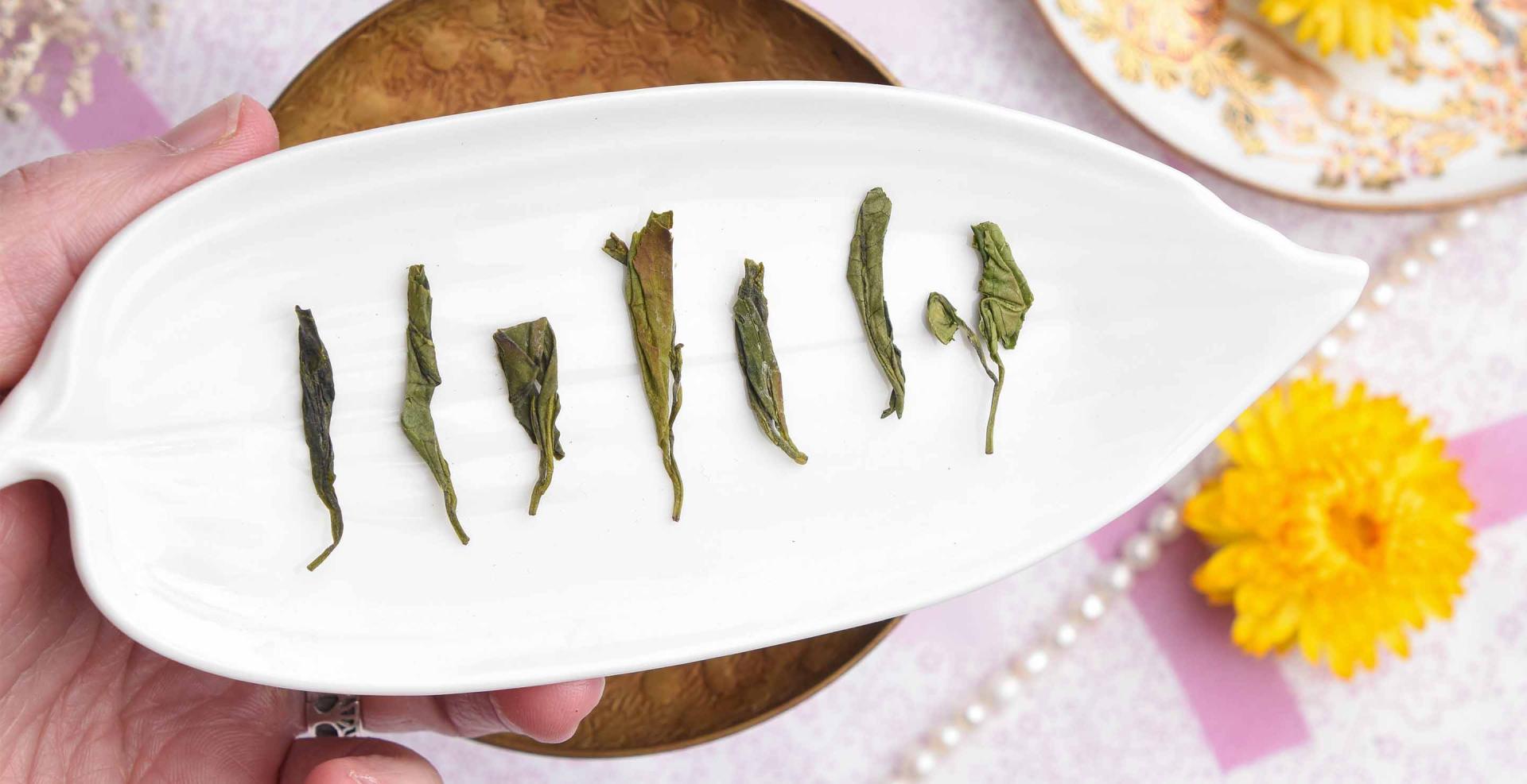 Reserve Flat Pressed Laoshan Green Tea