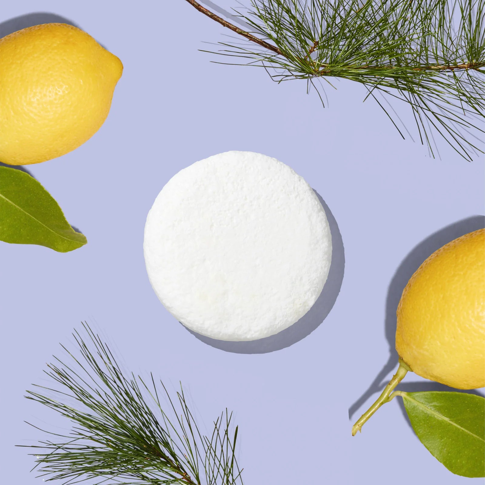 Toilet Bowl Cleaner Starter Set