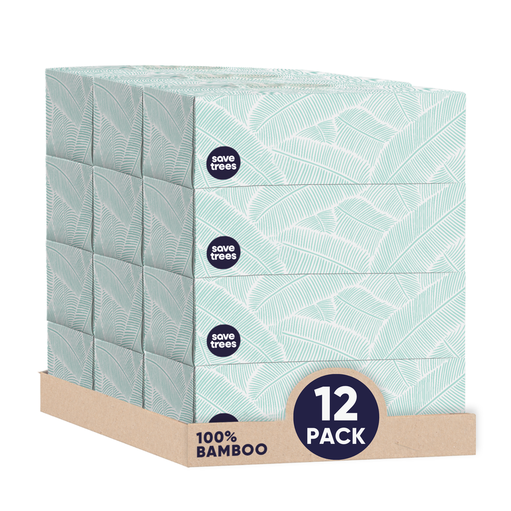 Bamboo Tissues - 12 Boxes