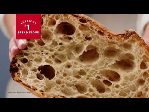 Bread Flour
