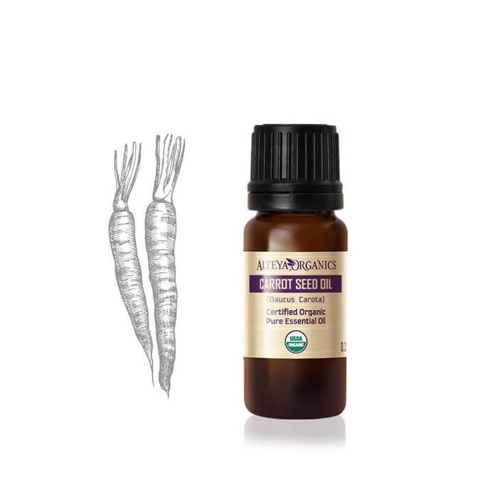 Carrot Seed essential oil /Daucus carota/