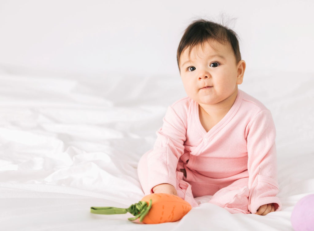 Carrot Stroller Toy