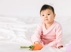 Carrot Stroller Toy