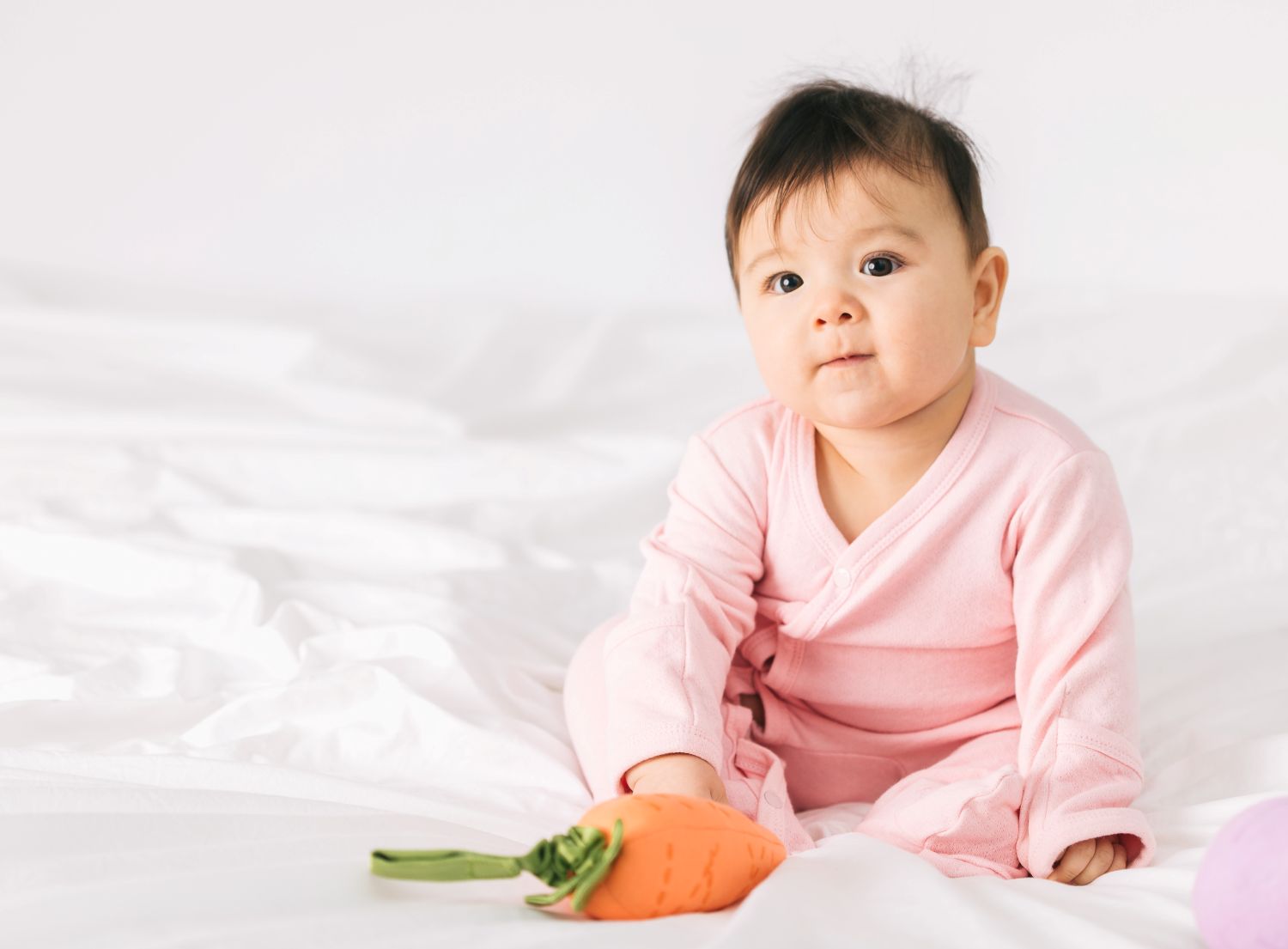 Carrot Stroller Toy