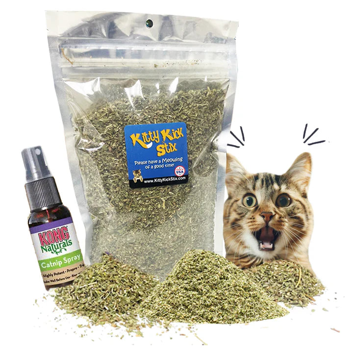 Fresh Catnip (Various Sizes)