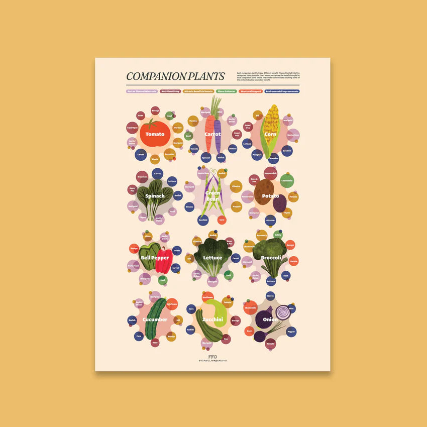 Companion Plants Print