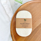 Eco Dish Sponges: Single Layer 3-Pack