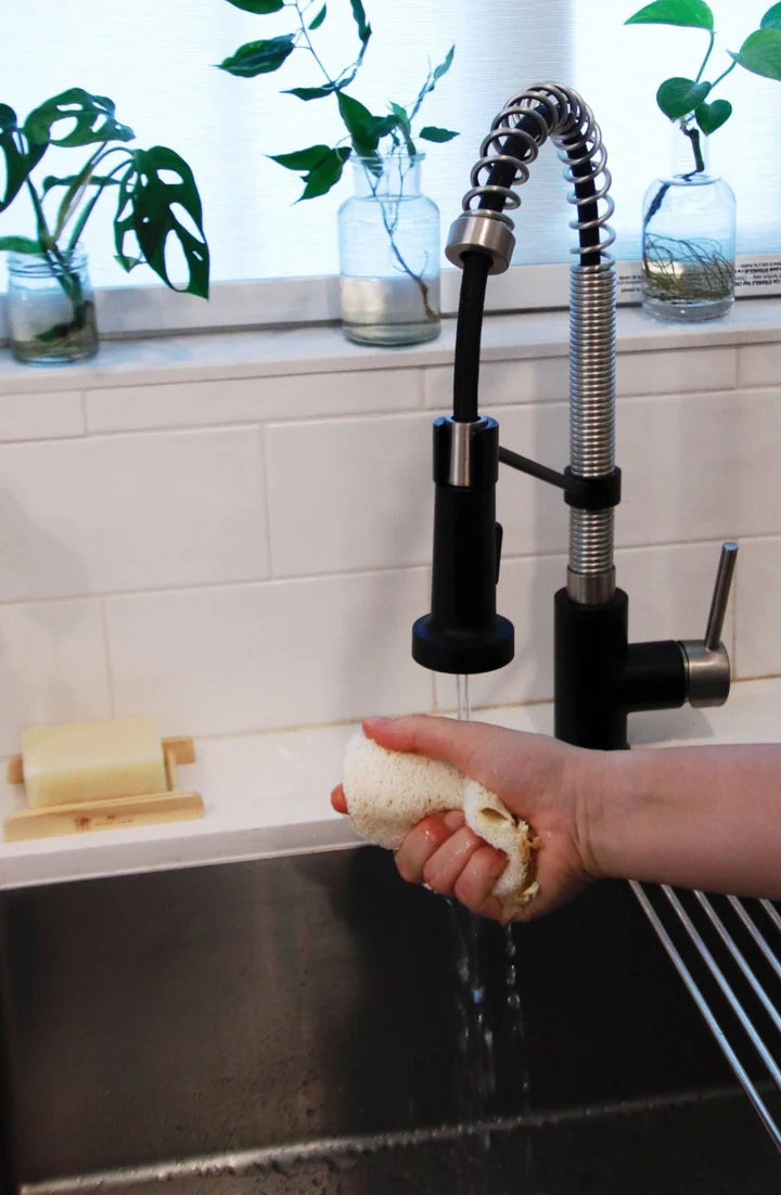 Eco Dish Sponges: Single Layer 3-Pack