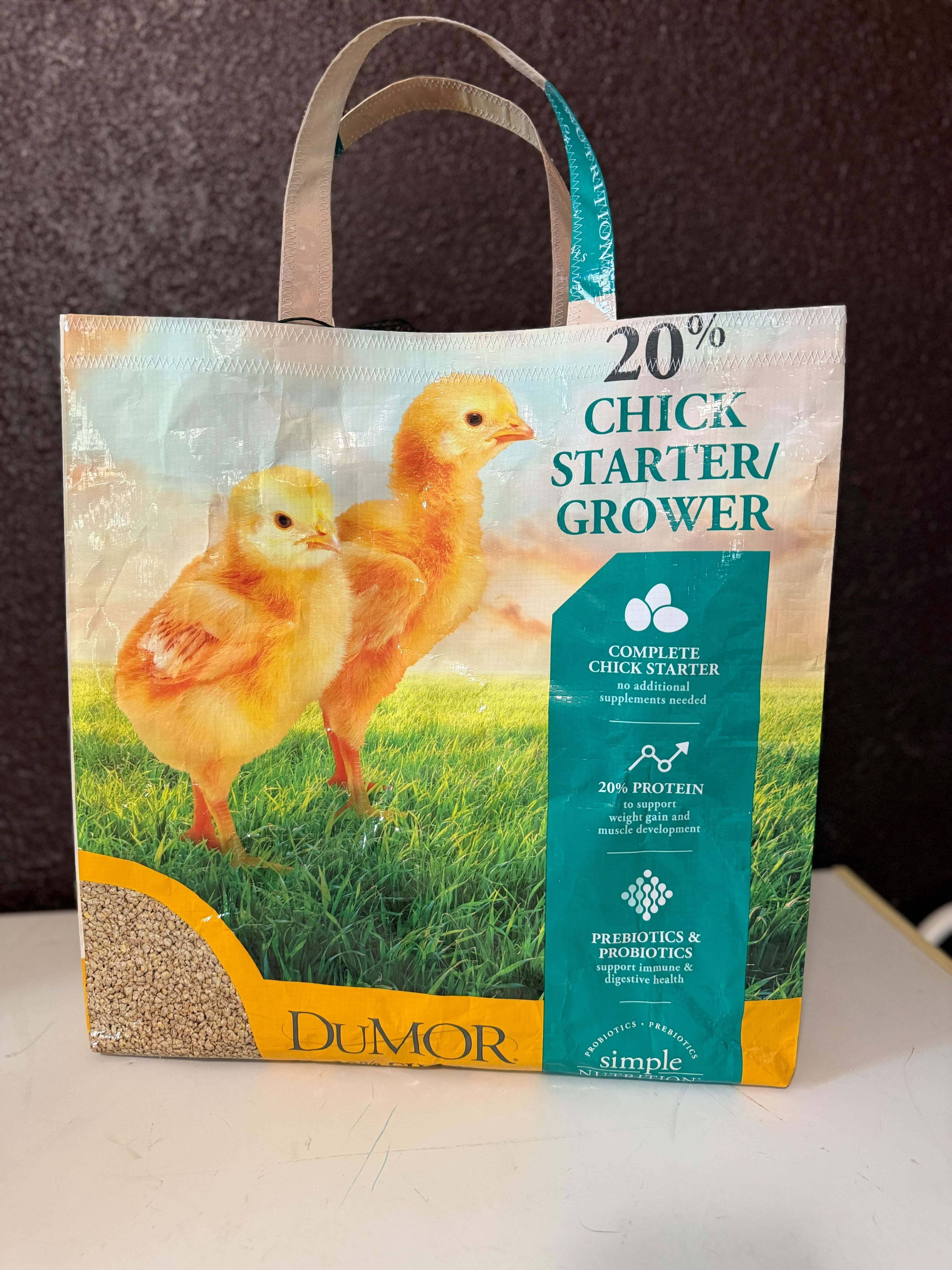 DuMOR Chick Starter Tote Bag
