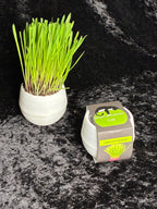 Cat Grass Balls