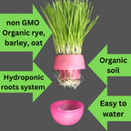 Cat Grass Balls