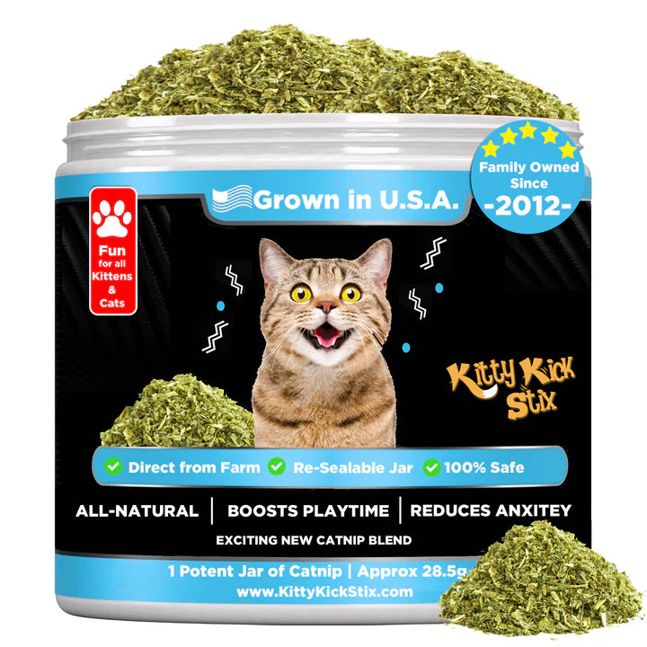 Fresh Catnip Jar (Ultra Potent)