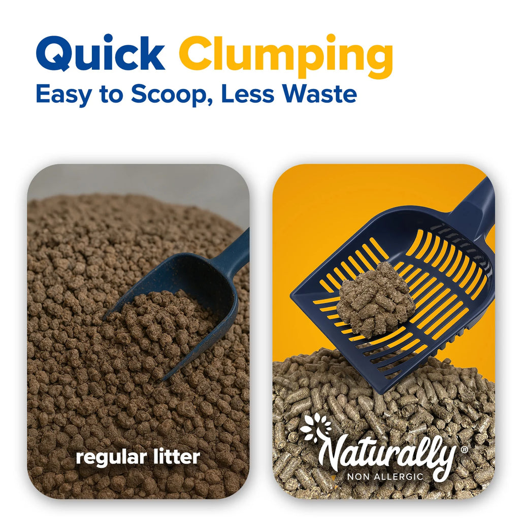 Hypoallergenic Quick-Clumping Cat Litter – 11 lb | 2-Pack