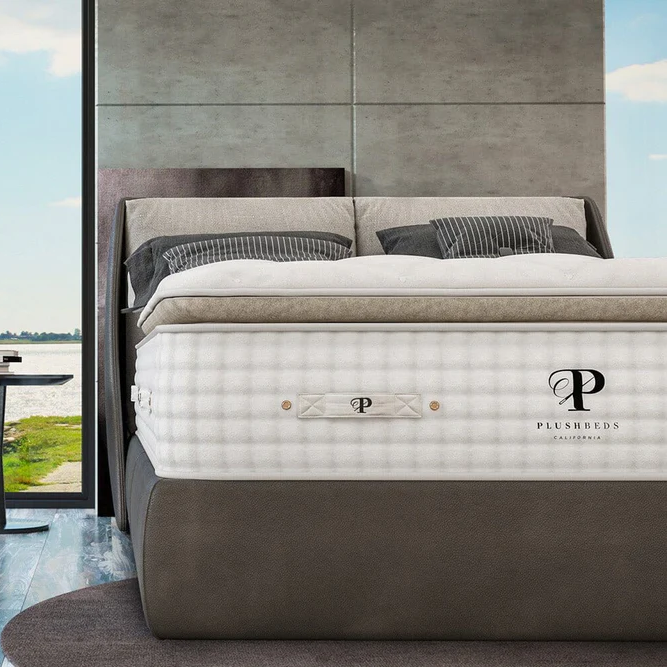 Organic Mattress - The Organic Bliss Pillowtop