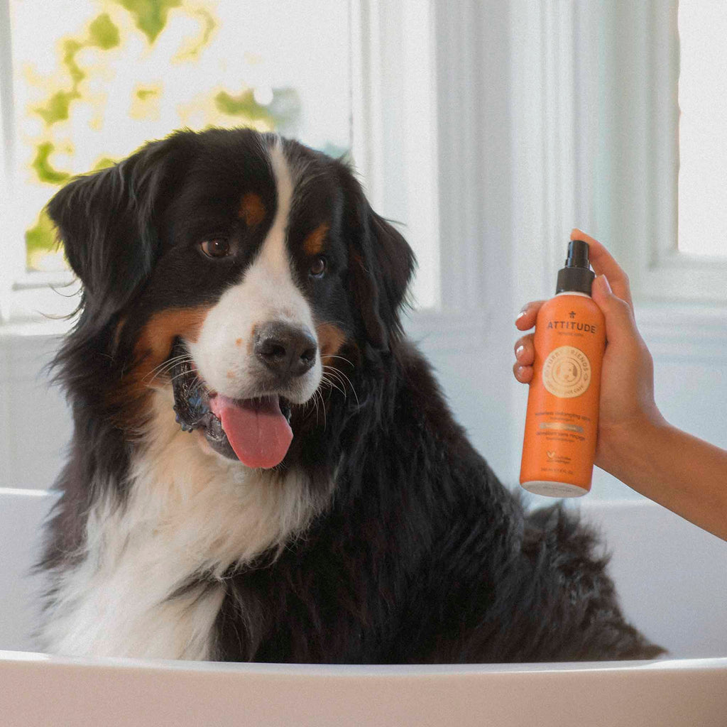 Pet Detangler - Anti-itching