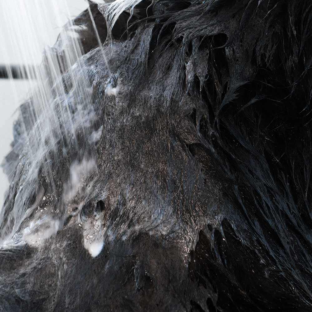 Pet Shampoo - Anti-itching & Deodorizing