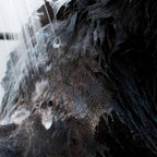 Pet Shampoo - Anti-itching & Deodorizing
