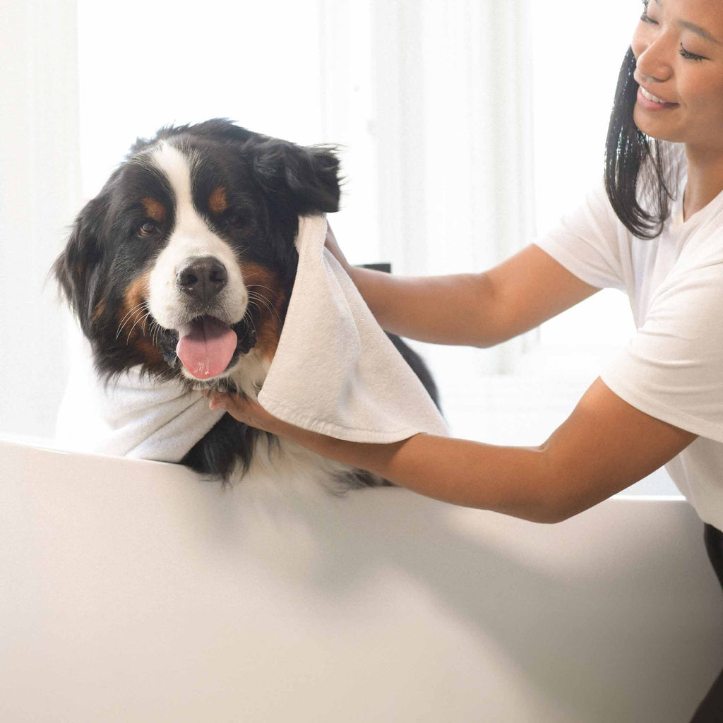 Pet Shampoo - Deodorizing