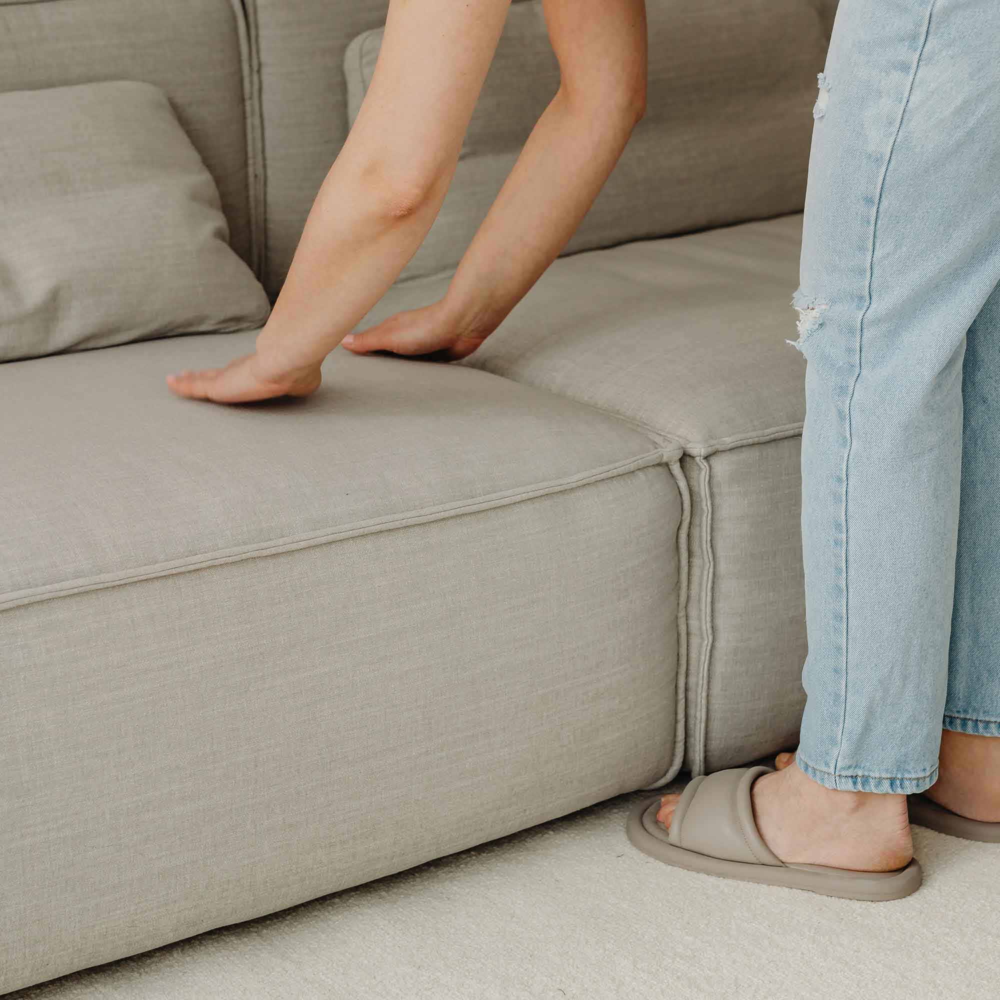 Pet Stain & Odor Remover