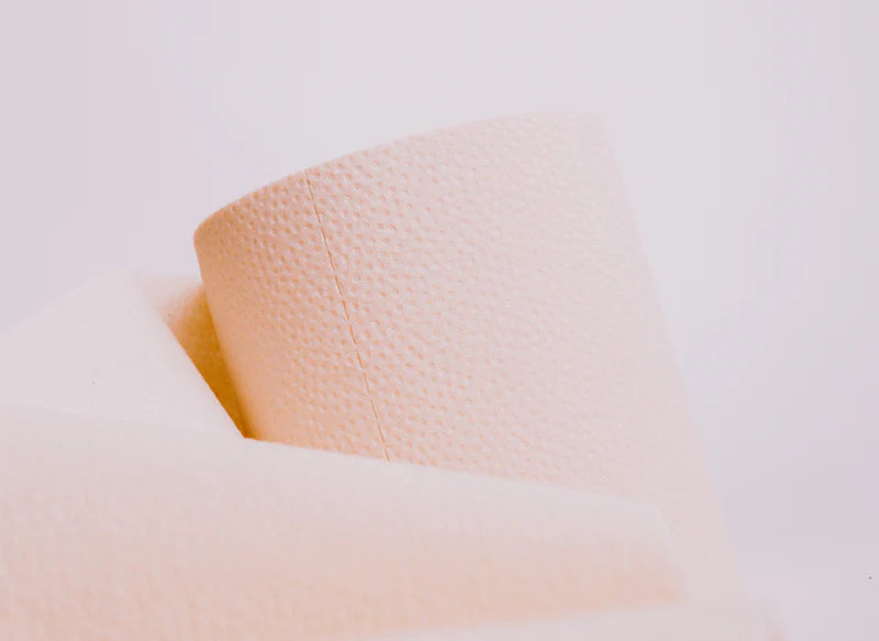 PlantPaper Bamboo Toilet Paper (16 Rolls)