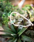 Puerto Rico Bracelet | Anklet