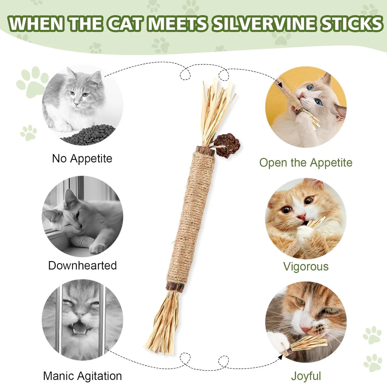 100% Natural Silvervine Sticks Cat Toy (2 Pack)